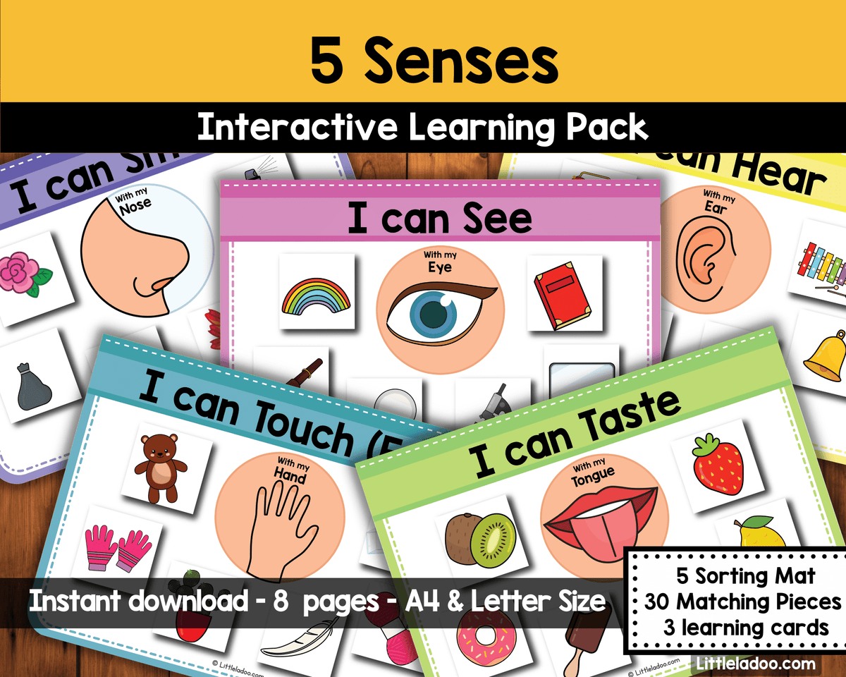 5 Senses Sorting Activity Printable – LittleLadoo