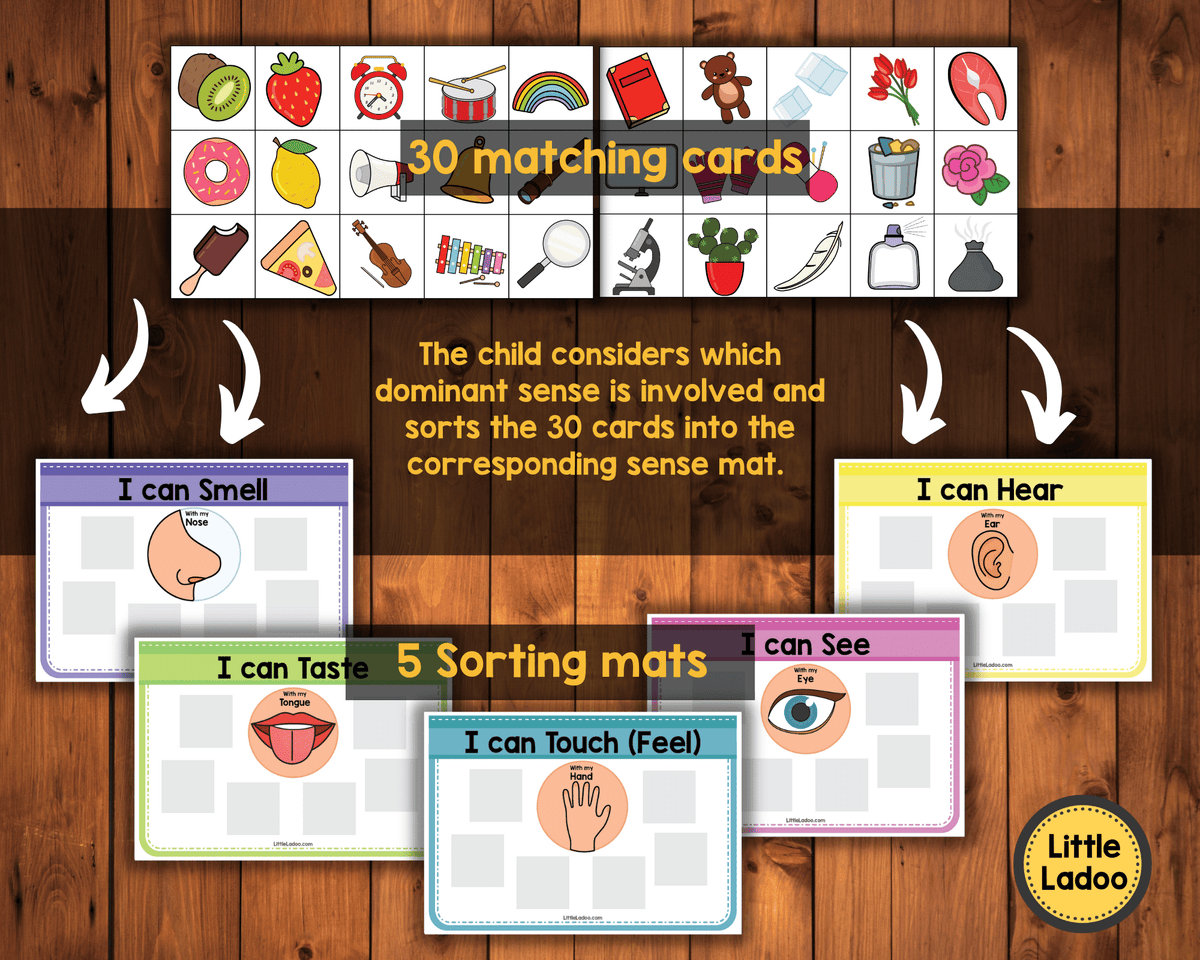 5 Senses Sorting Activity Printable – Littleladoo