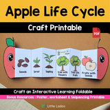 Apple Life Cycle Craft Printable