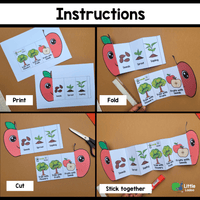 Apple Life Cycle Craft Printable