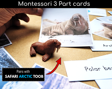 Arctic Animals - Free Printable - Montessori Nature